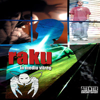 Thumbnail for the Raku - In Mediu Vitreg link, provided by host site