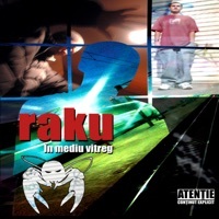 Thumbnail for the Raku - In Mediu Vitreg link, provided by host site