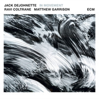 Thumbnail for the Jack DeJohnette - In Movement link, provided by host site