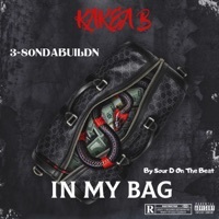 Thumbnail for the Tribe - In My Bag link, provided by host site