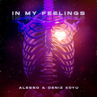 Thumbnail for the Alesso - In My Feelings link, provided by host site