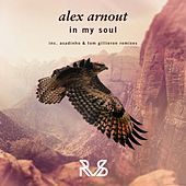 Thumbnail for the Alex Arnout - In My Soul link, provided by host site