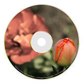 Thumbnail for the Florin H - In Pasi de Tango link, provided by host site