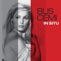 Thumbnail for the Buscemi - In Situ link, provided by host site