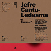 Thumbnail for the Jefre Cantu-Ledesma - In Summer link, provided by host site