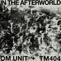 Thumbnail for the Om Unit - In The Afterworld link, provided by host site