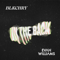 Thumbnail for the Evan Williams - In The Back link, provided by host site