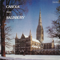 Thumbnail for the Ralph Vaughan Williams - In the Bleak Mid-winter link, provided by host site