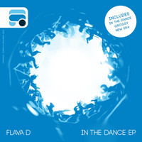 Thumbnail for the Flava D - In the Dance link, provided by host site
