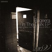 Thumbnail for the Bageera - In the Dark link, provided by host site