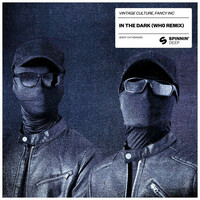 Thumbnail for the Vintage Culture - In The Dark (Wh0 Extended Remix) link, provided by host site