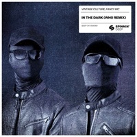 Thumbnail for the Vintage Culture - In The Dark (Wh0 Extended Remix) link, provided by host site