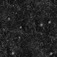 Thumbnail for the Tenement - In the Ground link, provided by host site