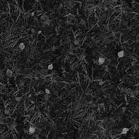Thumbnail for the Tenement - In the Ground link, provided by host site
