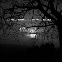 Thumbnail for the XboyLeo - In The Middle Of The Night link, provided by host site