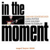 Thumbnail for the Joachim Schoenecker - In the Moment link, provided by host site