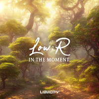 Thumbnail for the Lowr - In The Moment link, provided by host site