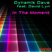 Thumbnail for the Dynamik Dave - In the Moment link, provided by host site