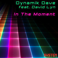Thumbnail for the Dynamik Dave - In the Moment link, provided by host site