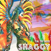 Thumbnail for the Shaggy - In The Mood link, provided by host site