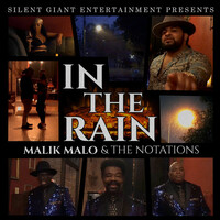 Thumbnail for the Malik Malo - In the Rain link, provided by host site