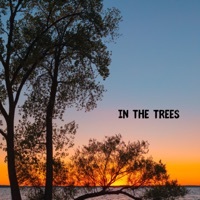 Thumbnail for the Patricia Seymour - In the Trees link, provided by host site