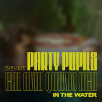 Thumbnail for the Cal - In the Water (with Quinn XCII / Party Pupils Remix) link, provided by host site