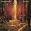 Thumbnail for the Maxxi Soundsystem - In the Woods link, provided by host site