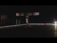 Thumbnail for the Lady Gaga - In the world's first flying dress: Gaga celebrates release of album ARTPOP link, provided by host site