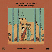 Thumbnail for the Chris Lake - In The Yuma [Four Tet Remix] link, provided by host site