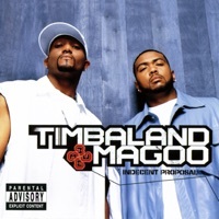 Thumbnail for the Timbaland - In Time link, provided by host site