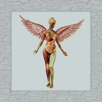 Thumbnail for the Nirvana - In Utero (30th Anniversary Super Deluxe) link, provided by host site