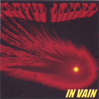 Thumbnail for the David James - In Vain link, provided by host site