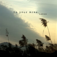 Thumbnail for the Largo - In Your Arms link, provided by host site