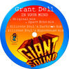 Thumbnail for the Grant Dell - In Your Mind link, provided by host site