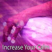 Thumbnail for the Zen Meditation and Natural White Noise and New Age Deep Massage - Increase Your Calm link, provided by host site