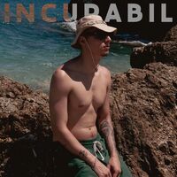 Thumbnail for the The Who - Incurabil link, provided by host site