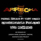 Thumbnail for the Pascal Morais - Indescribable Feelings (The Remixes) link, provided by host site