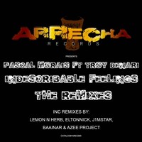 Thumbnail for the Pascal Morais - Indescribable Feelings (The Remixes) link, provided by host site