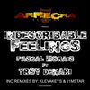 Thumbnail for the Pascal Morais - Indescribable Feelings link, provided by host site