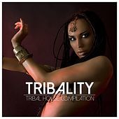 Thumbnail for the Glender - Indian Ritual link, provided by host site