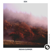 Thumbnail for the EDX - Indian Summer link, provided by host site