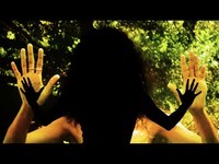 Thumbnail for the Divide And Dissolve - INDIGNATION link, provided by host site