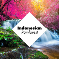 Thumbnail for the Rainforest - Indonesian Rainforest – Selected Flora and Fauna Sounds for Deep Relaxation, Water, Animals, Rain, Instrumental, Asian Zen, Ambient Nature link, provided by host site