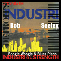Thumbnail for the Bob Seeley - Industrial Strength link, provided by host site
