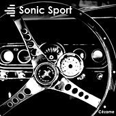 Thumbnail for the Pascal Macaigne - Indy 500 link, provided by host site