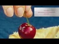 Thumbnail for the Nation of Language - Inept Apollo Official Spanish link, provided by host site