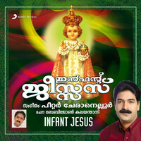 Thumbnail for the George Peter - Infant Jesus link, provided by host site