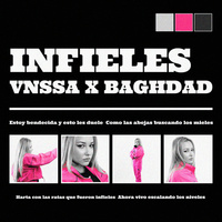 Thumbnail for the VNSSA - Infieles link, provided by host site