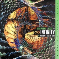 Thumbnail for the David Phoenix - Infinity link, provided by host site
